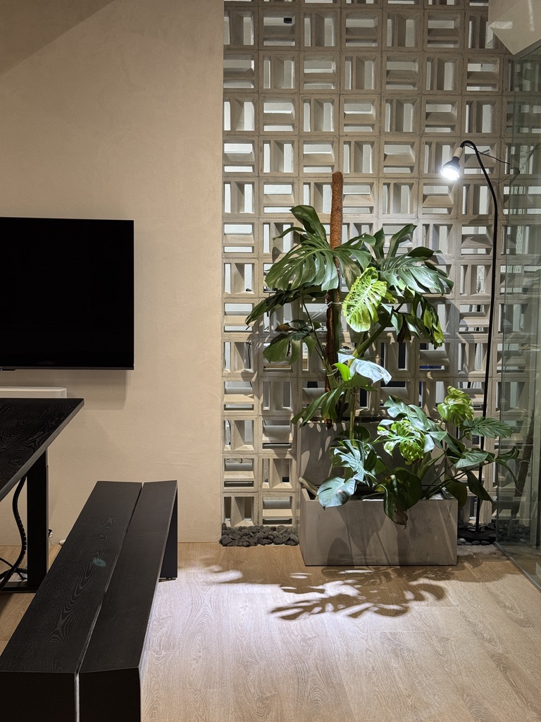 Showroom display wall